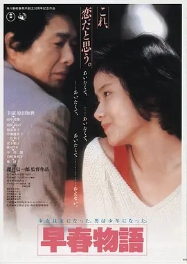 雾港回声 影视大全免费观看